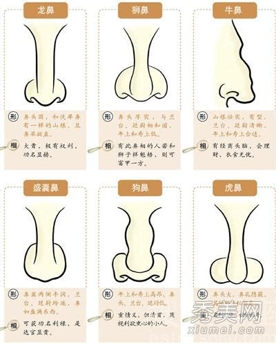 沒鼻樑面相|鼻型面相看健康運